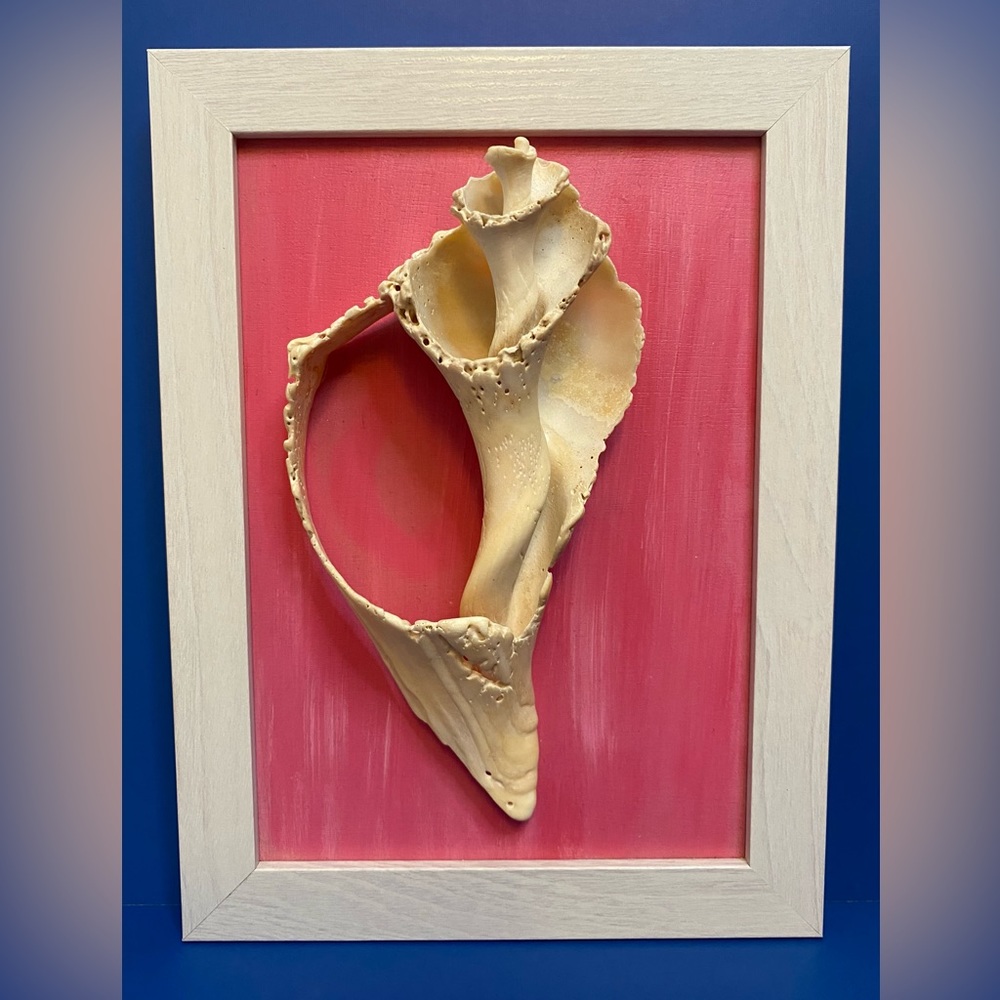 Handmade framed sea shell art